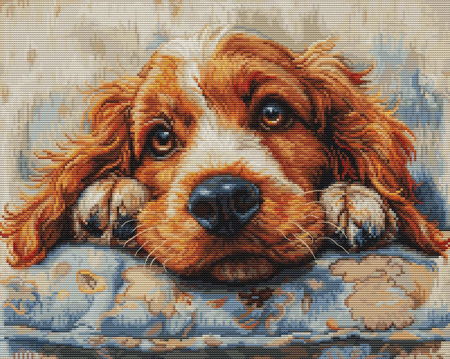 Cocker Spaniel BU5058L Counted Cross-Stitch Kit, Needlecraft Kits, Needlecraft Kits, The Crafty Grimalkin - A Cross Stitch Store