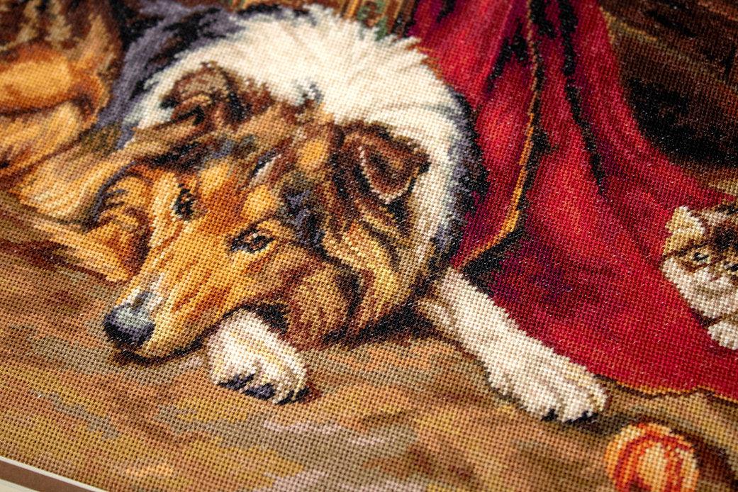 A Reluctant Playmate B585L Counted Cross-Stitch Kit, The Crafty Grimalkin - A Cross Stitch Store