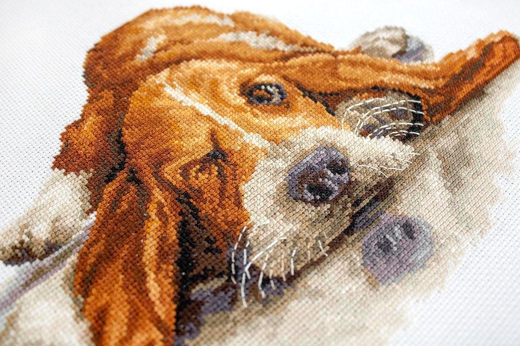 Basset  B2341L Counted Cross-Stitch Kit, Needlecraft Kits, Needlecraft Kits, The Crafty Grimalkin - A Cross Stitch Store