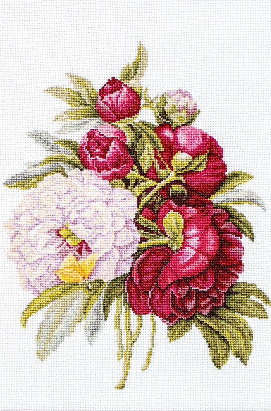 Bouquet with peonies B2354L Counted Cross-Stitch Kit, The Crafty Grimalkin - A Cross Stitch Store