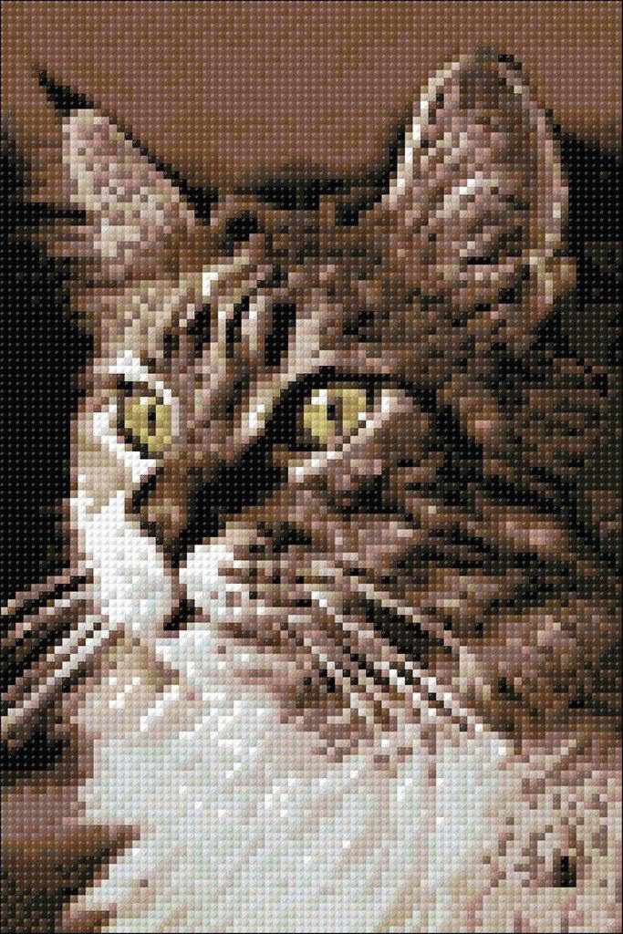 Cat at Home CS212 7.9 x 11.8 inches Crafting Spark Diamond Painting Kit, Drawing & Painting Kits, The Crafty Grimalkin - A Cross Stitch Store