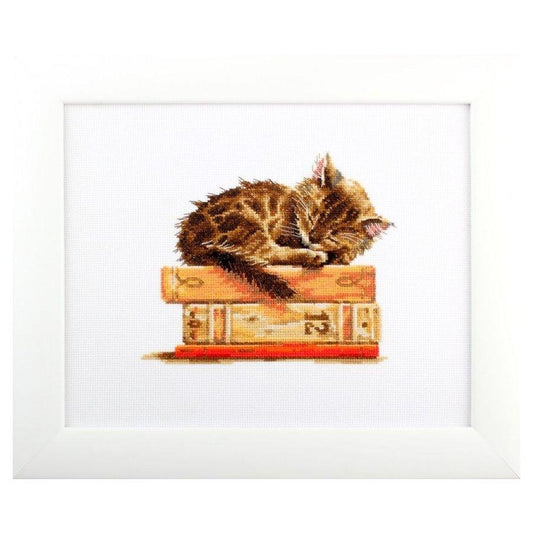 Cat's dream M642 Counted Cross Stitch Kit, The Crafty Grimalkin - A Cross Stitch Store