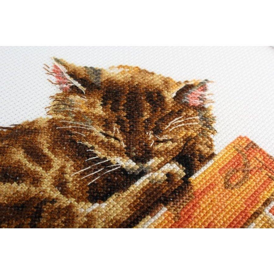 Cat's dream M642 Counted Cross Stitch Kit, The Crafty Grimalkin - A Cross Stitch Store