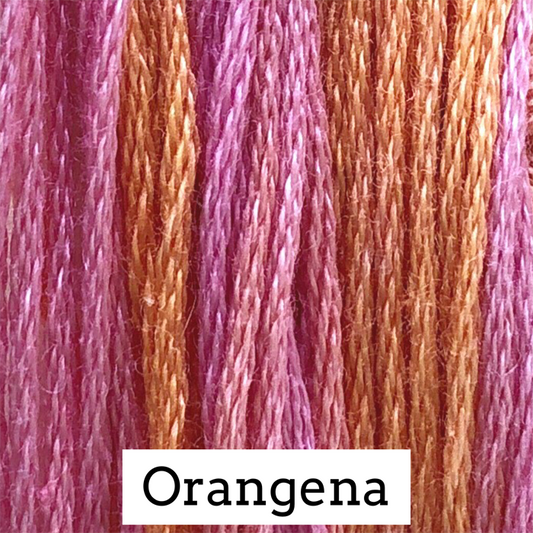 Orangena - Classic Colorworks Cotton Thread - Floss, Thread & Floss, Thread & Floss, The Crafty Grimalkin - A Cross Stitch Store