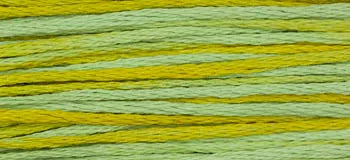 Pistachio - Weeks Dye Works - Floss, Thread & Floss, Thread & Floss, The Crafty Grimalkin - A Cross Stitch Store